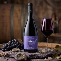 Variraptor Malbec Rouge -Anne de Joyeuse
