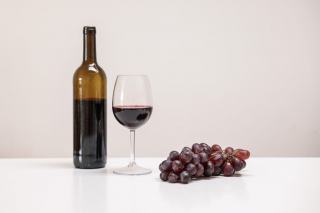 Vins bio du Languedoc : comprendre le vin de terroir vivant