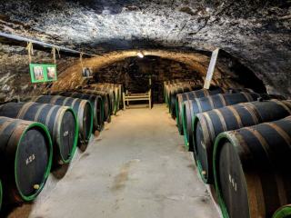 Bag-in-box : le vin protégé de l’air