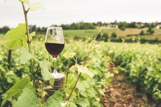 Océanique Toques et Clochers Chardonnay fût de chêne - Sieur d’Arques