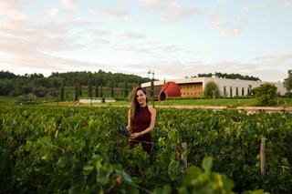 Domaine Lassalle Tradition Rouge 2017, de Rouffiac d’Aude
