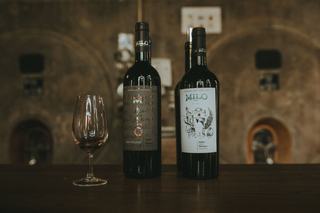 Cabernet Franc Figure Libre bio - Domaine Gayda