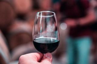 Vin Malepère Cabardès : deux appellations autour de Carcassonne